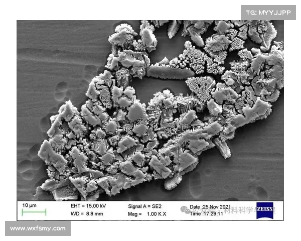 冰虫鳞片的微观结构特性及其在生物仿生和材料科学中的潜在应用 冰虫鳞片的微观结构特性及其在生物仿生和材料科学中的潜在应用