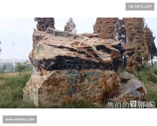 七个步骤揭开尘封往事的神秘面纱,解锁历史未解之谜的真相 七个步骤揭开尘封往事的神秘面纱,解锁历史未解之谜的真相