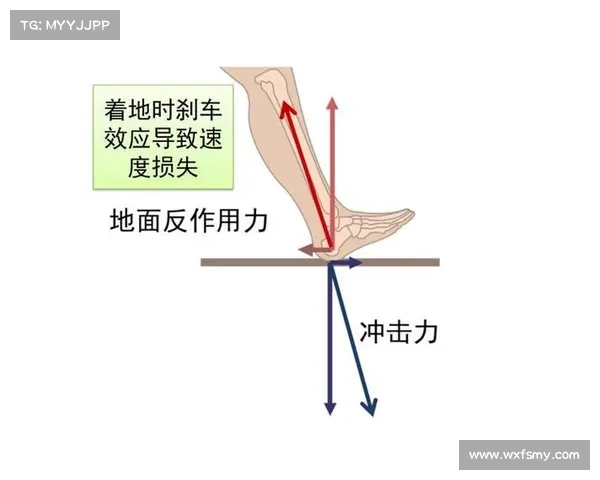 围绕澳洲杯竞技水平五要点的深度全面解析与发展趋势研判及前景展望 围绕澳洲杯竞技水平五要点的深度全面解析与发展趋势研判及前景展望